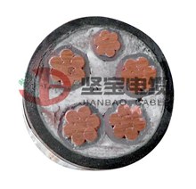 堅寶電纜 YJV電力電纜